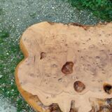 Table basse tronc d'arbre en loupe d'orme
