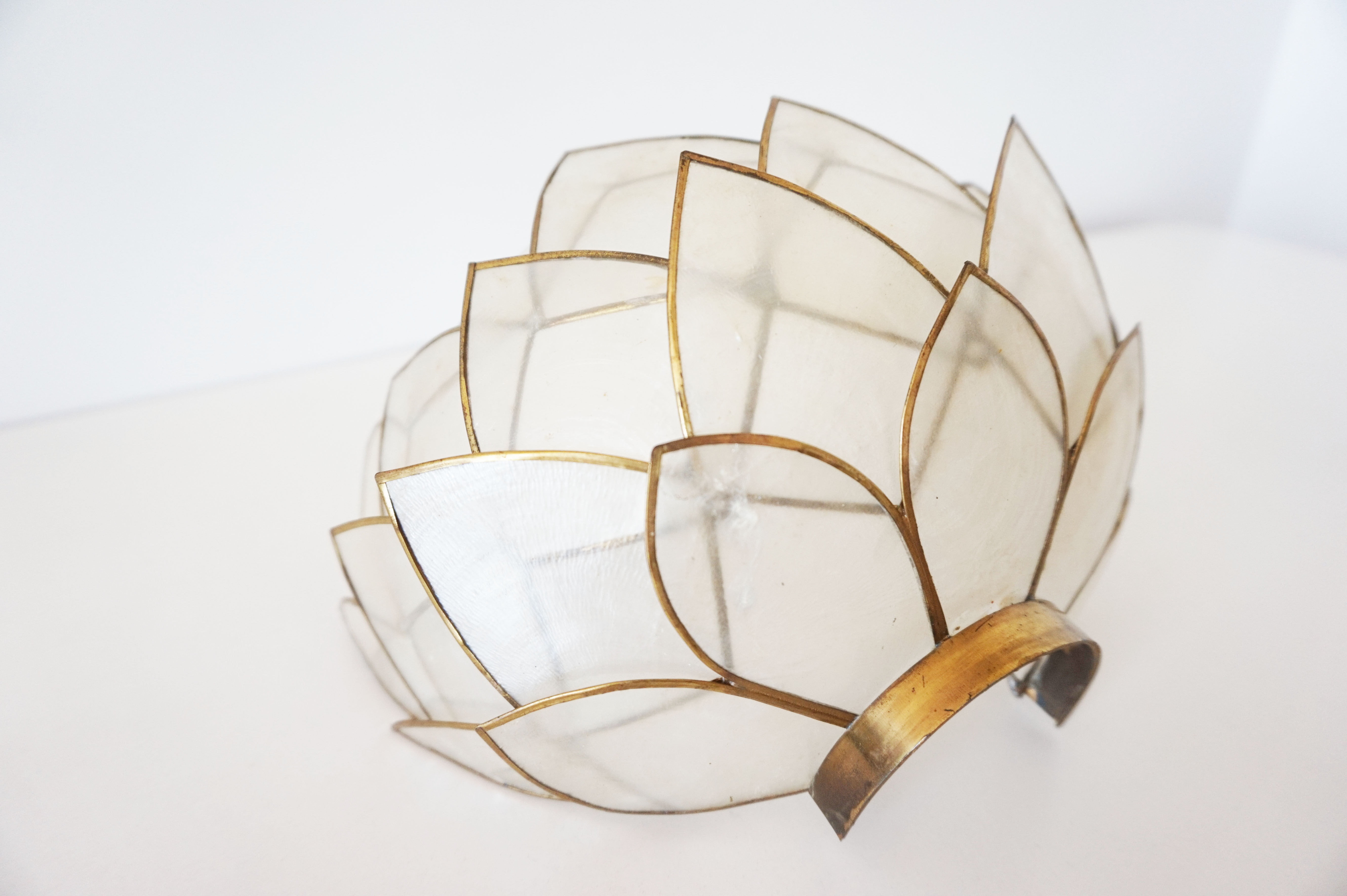 Vintage mother-of-pearl petals sconce