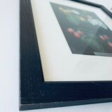 Framed lithograph raspberries