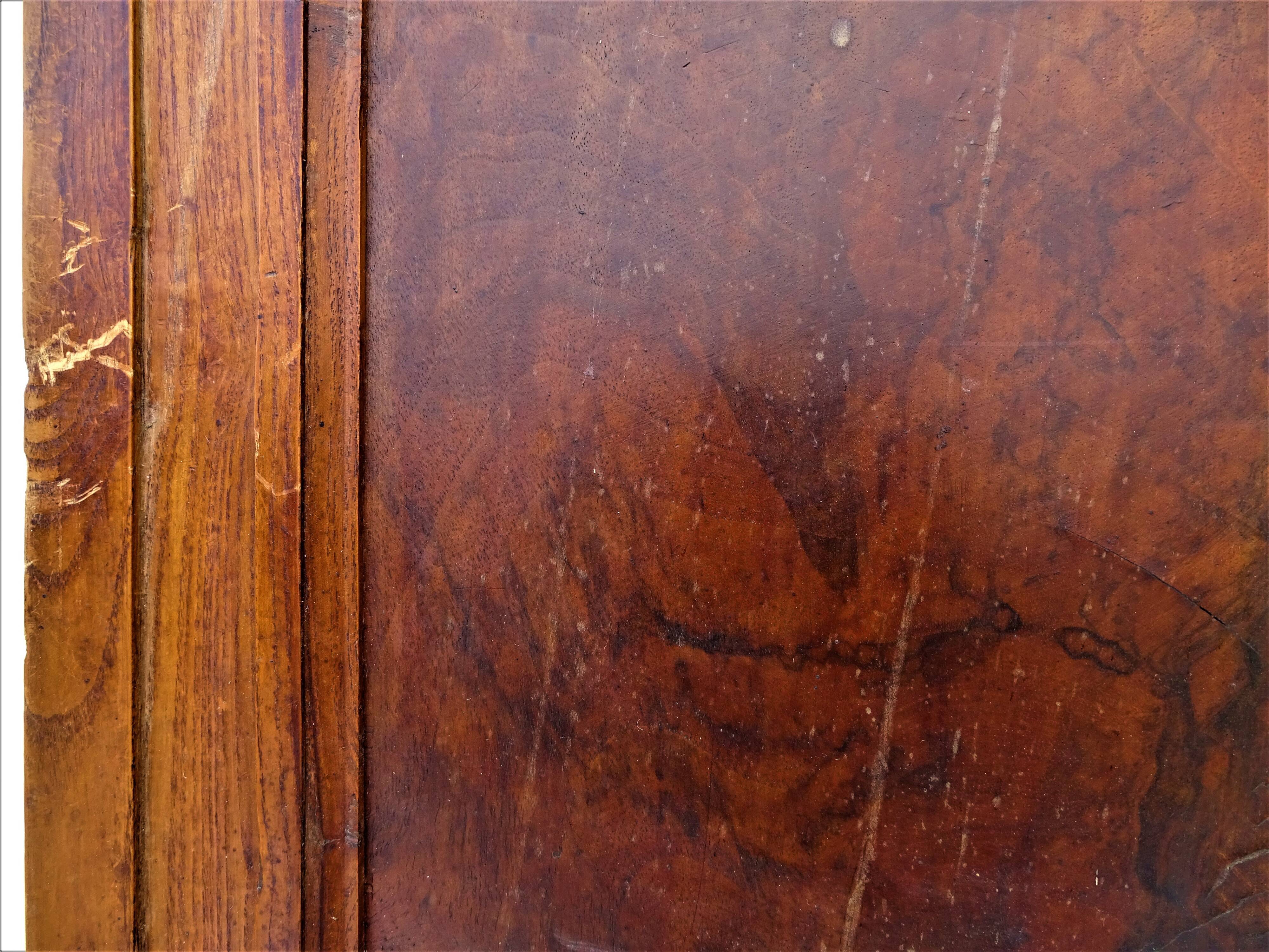 Pair of antique cabinet doors