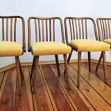 Dining Chairs attributed to A. Suman for Tatra Nabytok, Czechoslovakia, 196