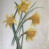 Daffodils, watercolor
