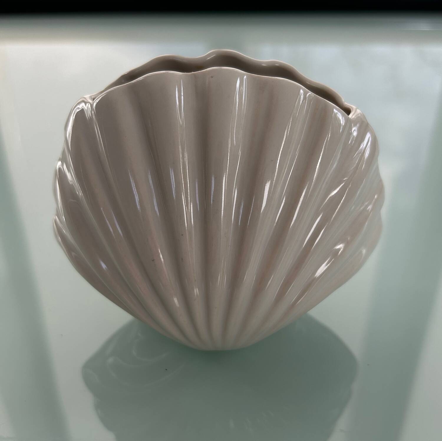 Shell vase