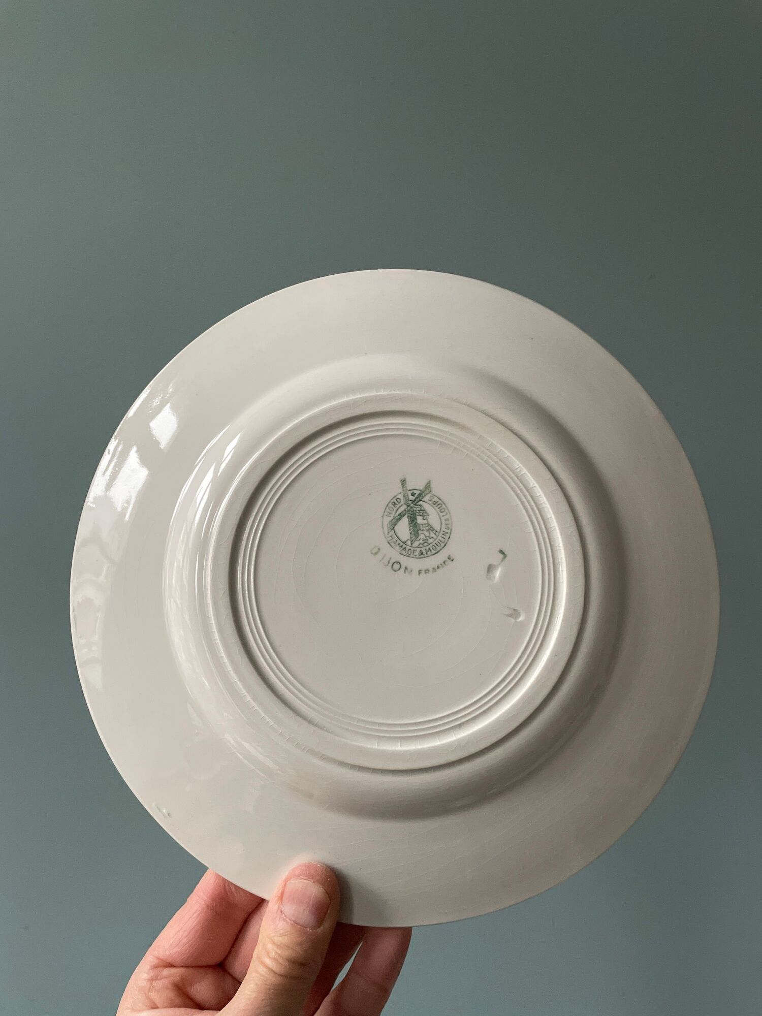 Set of 9 flat earthenware plates Terre de Fer Moulin des Loups, model "Dijon"