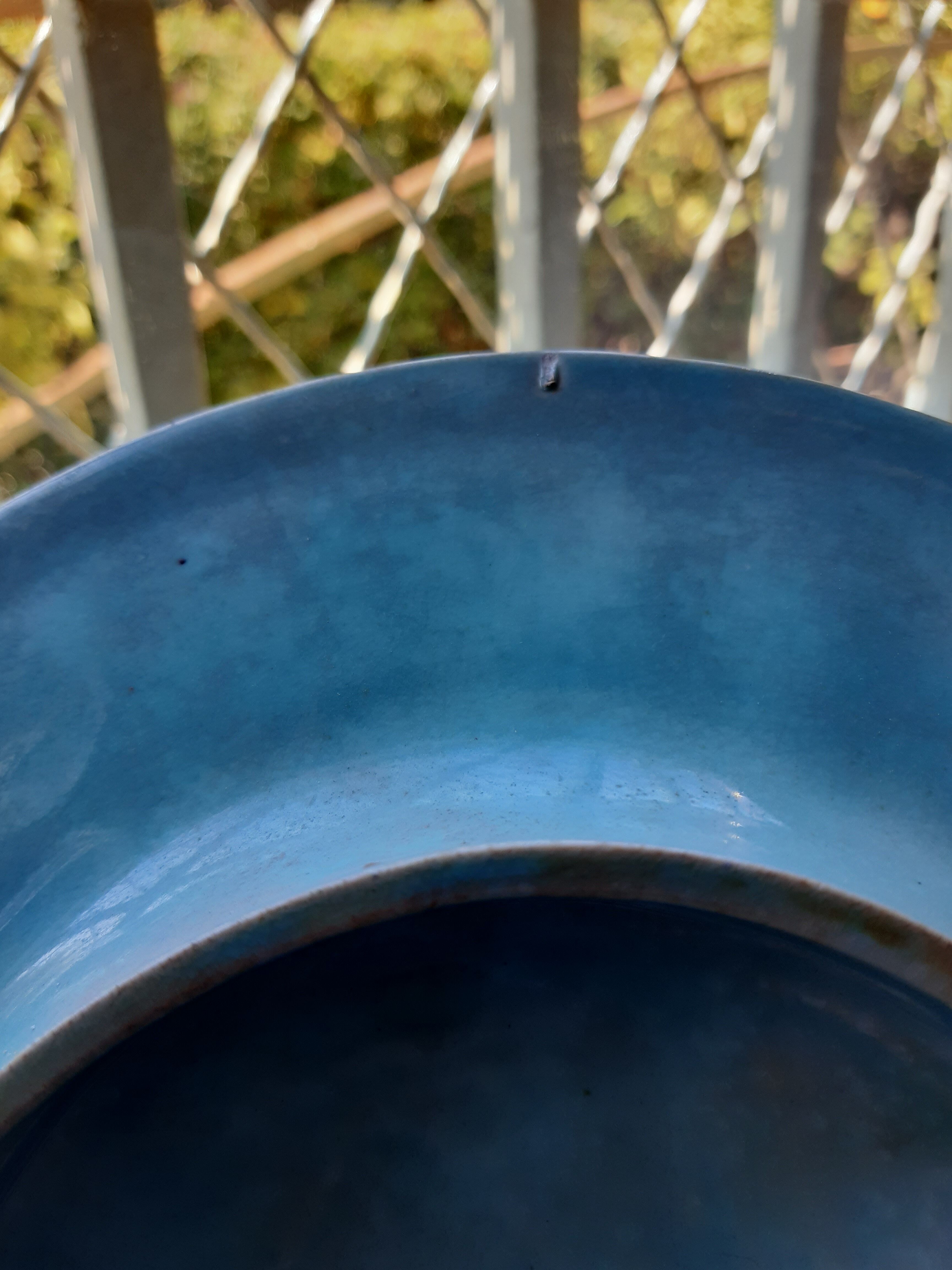 Asparagus dish dabbling