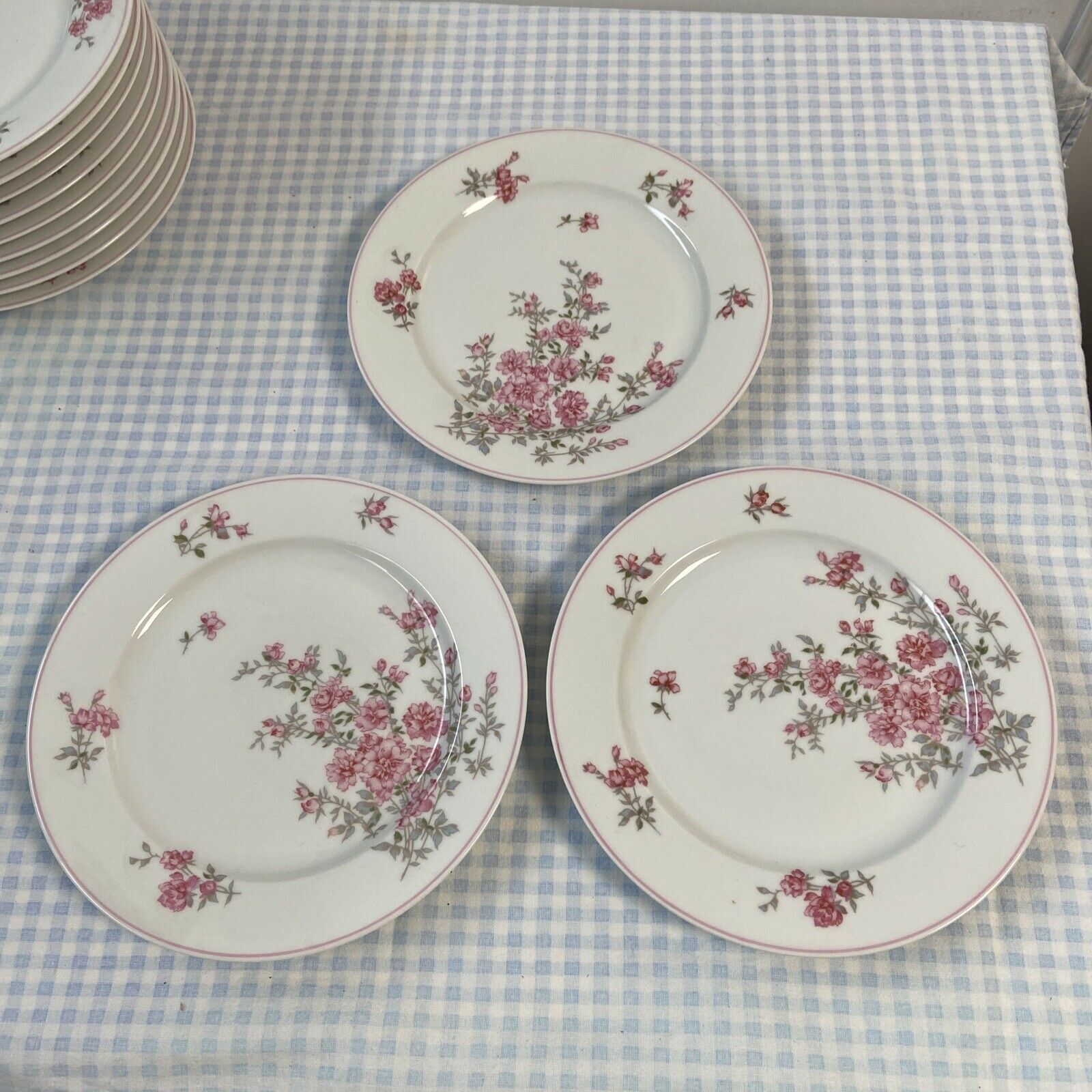 Series of 12 porcelain dessert plates decorated with flowers Bernardaud Limoges