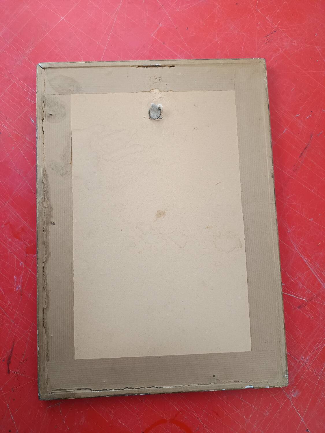 Botanical illustration