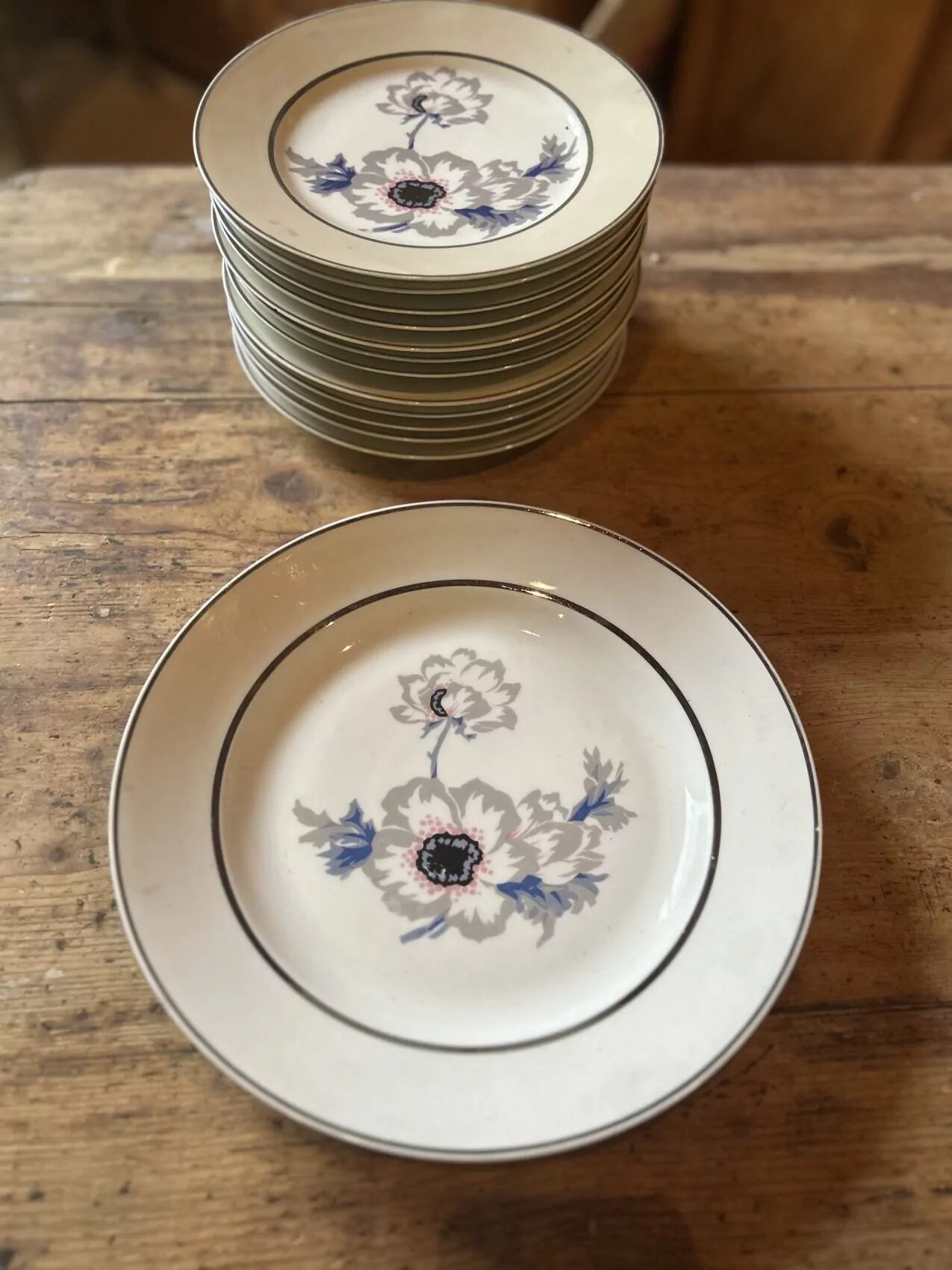 Set of 12 antique porcelain plates with anemone pattern + matching large plate 29.5 cm