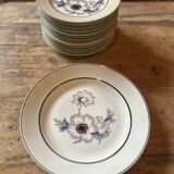 Set of 12 antique porcelain plates with anemone pattern + matching large plate 29.5 cm