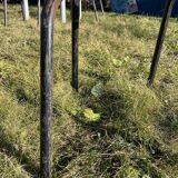 Set of 12 metal chairs