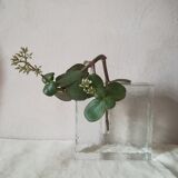 Soliflore in glass pavement