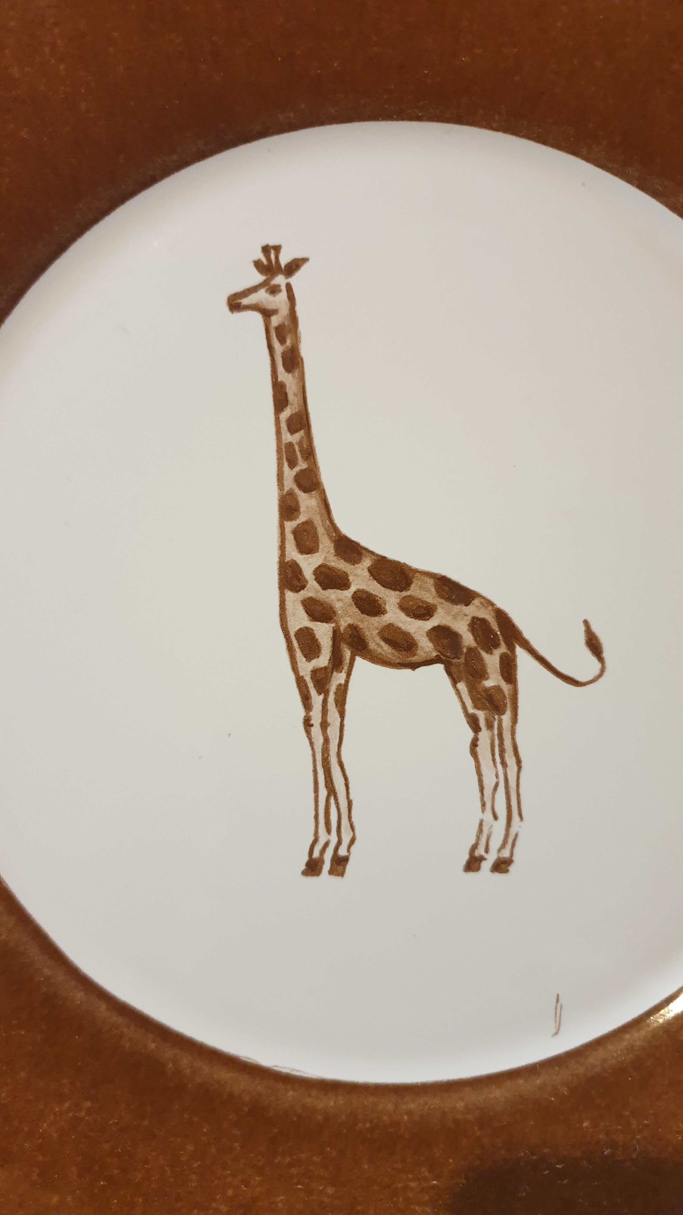 Set 5 assiettes à dessert animaux sauvages d'Afrique