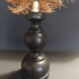 Cabinet of Curiosities starfish acanthaster planci on a base