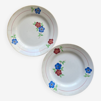 Flower dinner plates