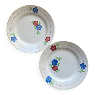 Assiettes plates fleurs