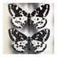 Papillons 4