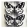 Papillons 4