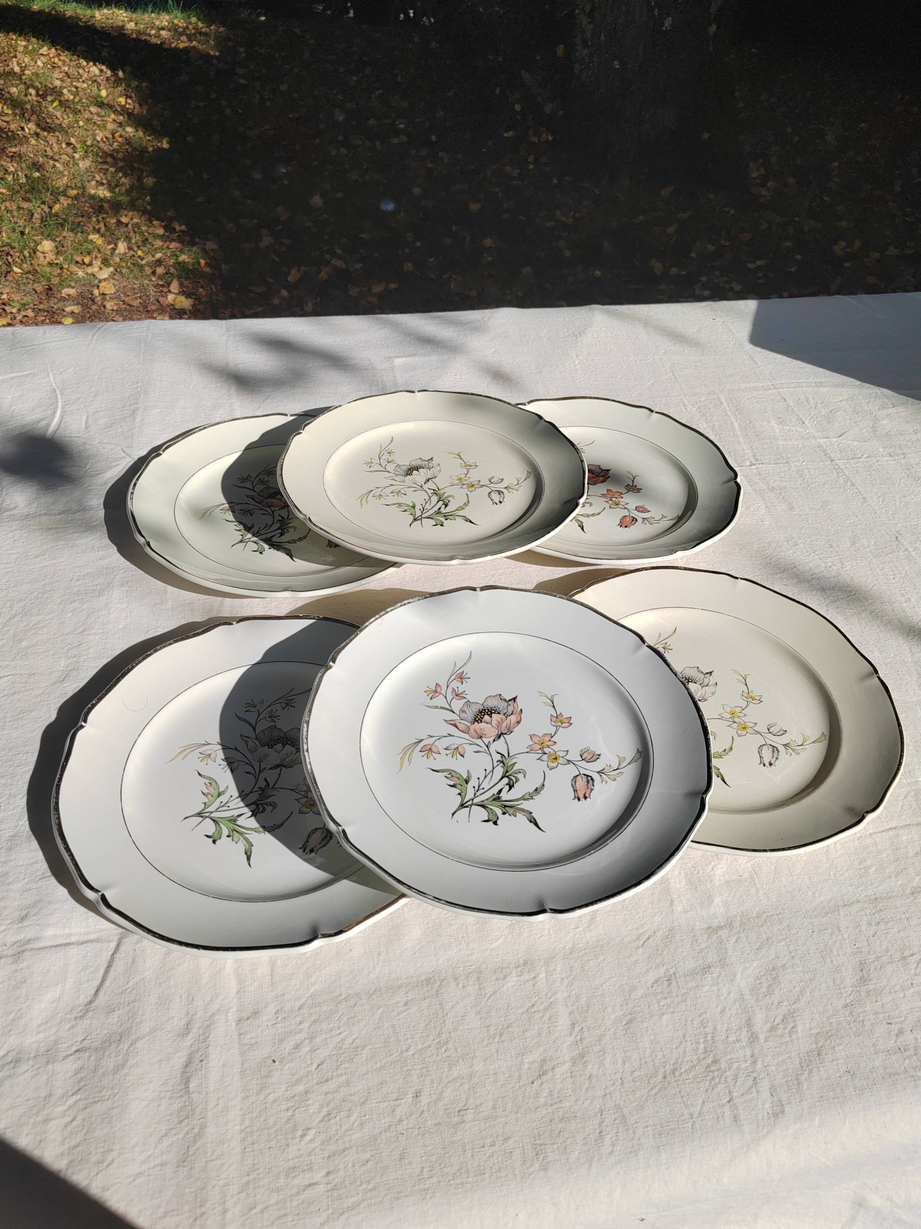 6 flat plates “Saverne” Saint Amand