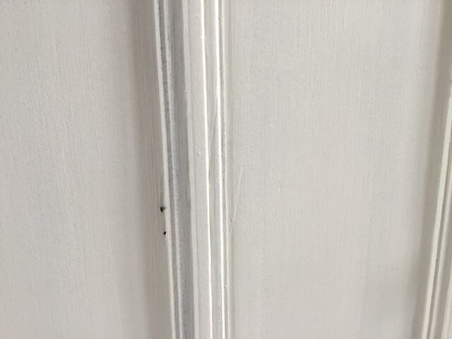 Parisian two-body buffet