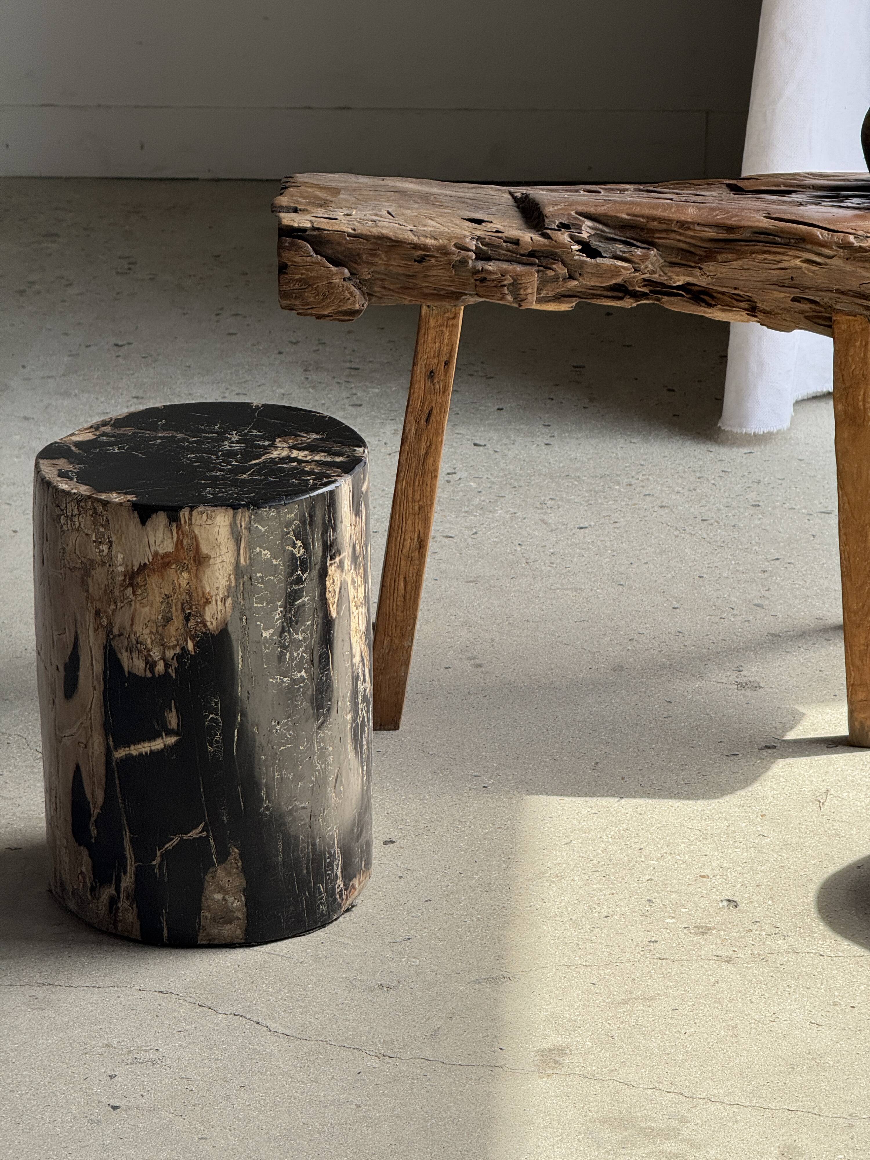 Black petrified wood side table with beige side H35 D24 - 3352