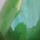 Dame-jeanne 10 litres vert vif