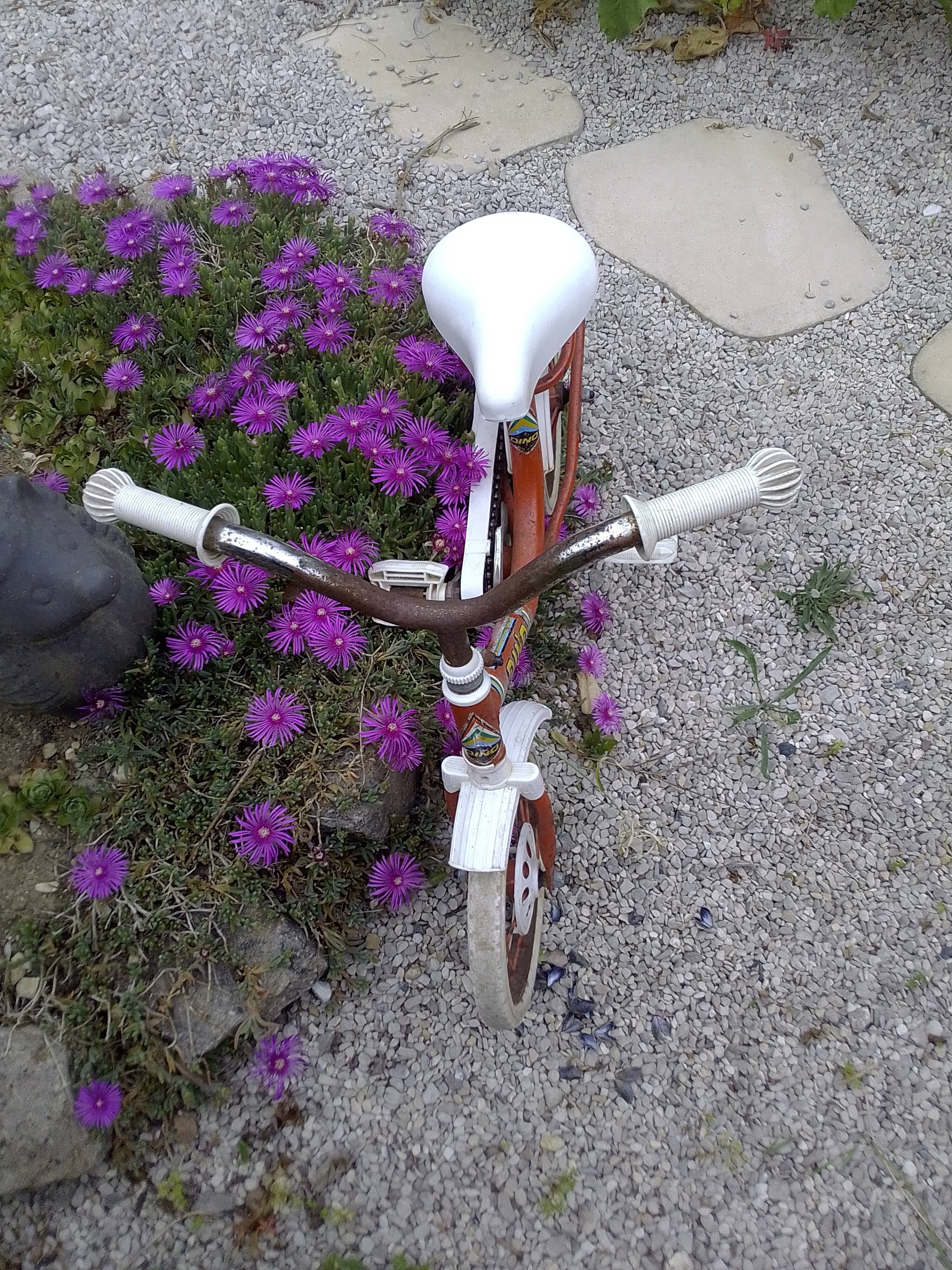 Vintage children's bike brand Dino