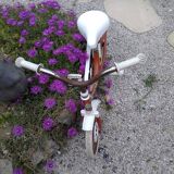 Vintage children's bike brand Dino