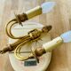 St Louis XVI gilded bronze wall lights with foliage and pine cone decorations