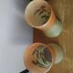 Pair of Legras vases Holly Decoration Art Nouveau
