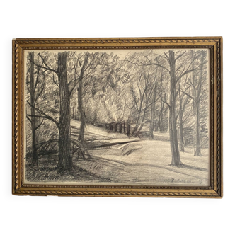 Dessin au fusain signé, forêt bretonne, 1957