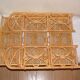 Peacock shelving lot
