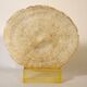 Coral on its resin base