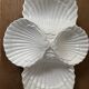 Ceramic shell-shaped serving dish