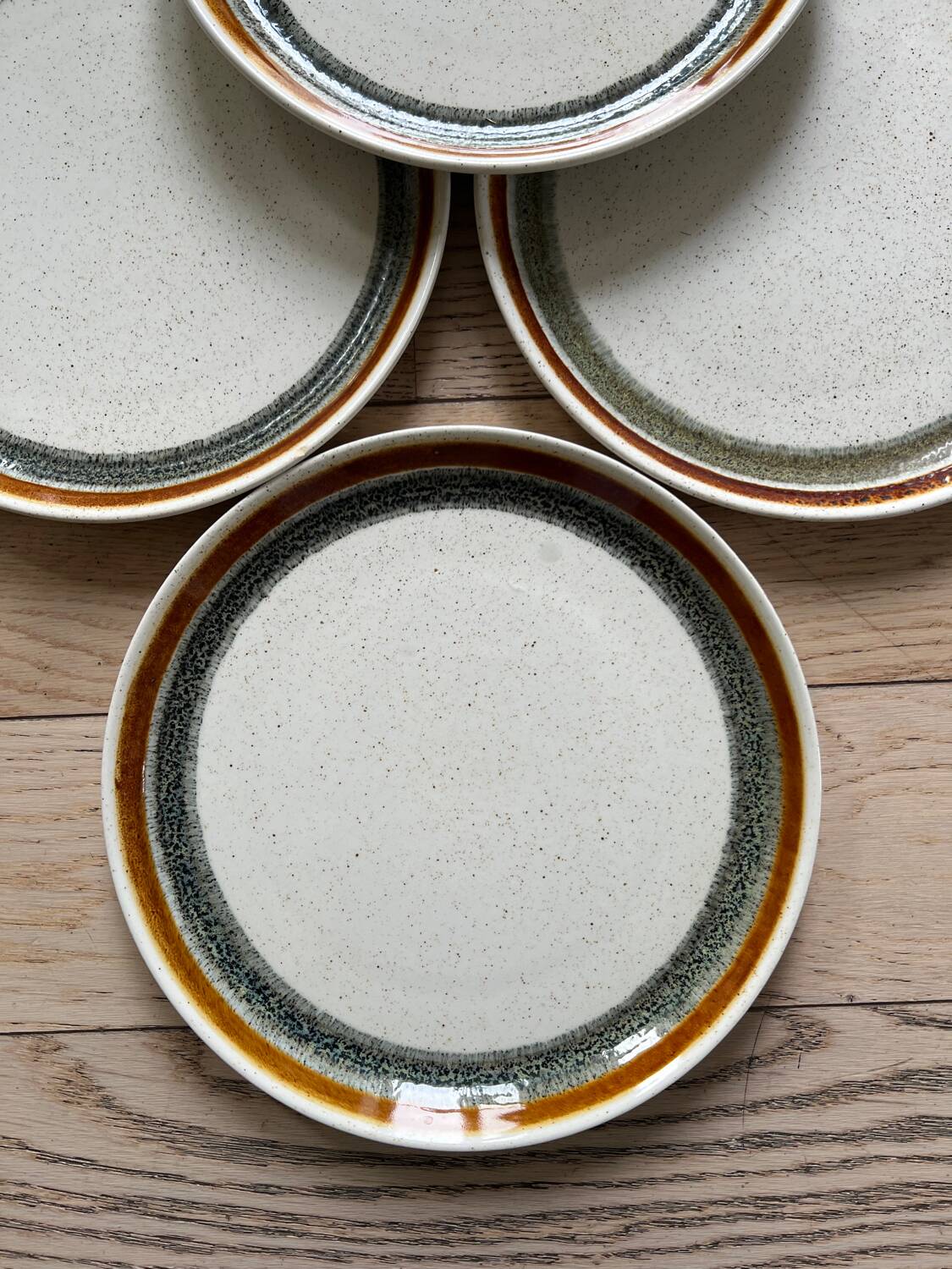 Stoneware dinner plates