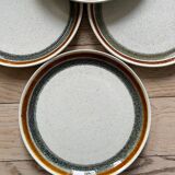Stoneware dinner plates