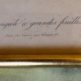 2 framed botanical posters