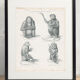 Old engraving of Primates: Ourang Outang, Lotong, Proboscis Monkey, Great Baboon
