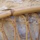 Headboard rattan and caning 2 people