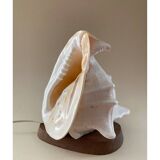 Lampe coquillage