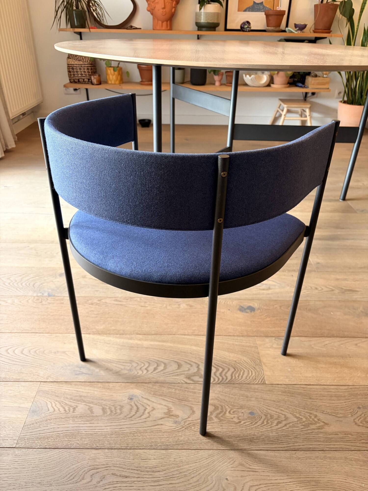 Chaises Living Divani Era – Blue Elettrico