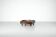 Table basse par Carlo Hauner pour Forma Italie 1960's.