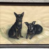 Portrait of dogs