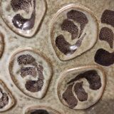 French vintage Pornic oyster tray