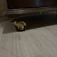 Small vintage piece of furniture or mini bar 1960/70