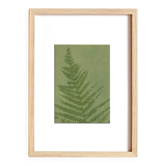 Peinture sur papier série herbier  et botanique signée Eawy