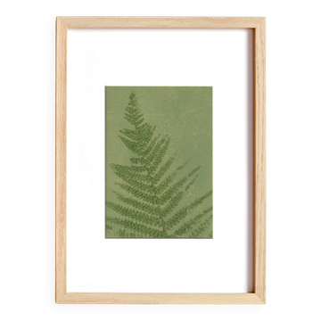 Painting on paper, herbarium and botanical series signed Eawy.