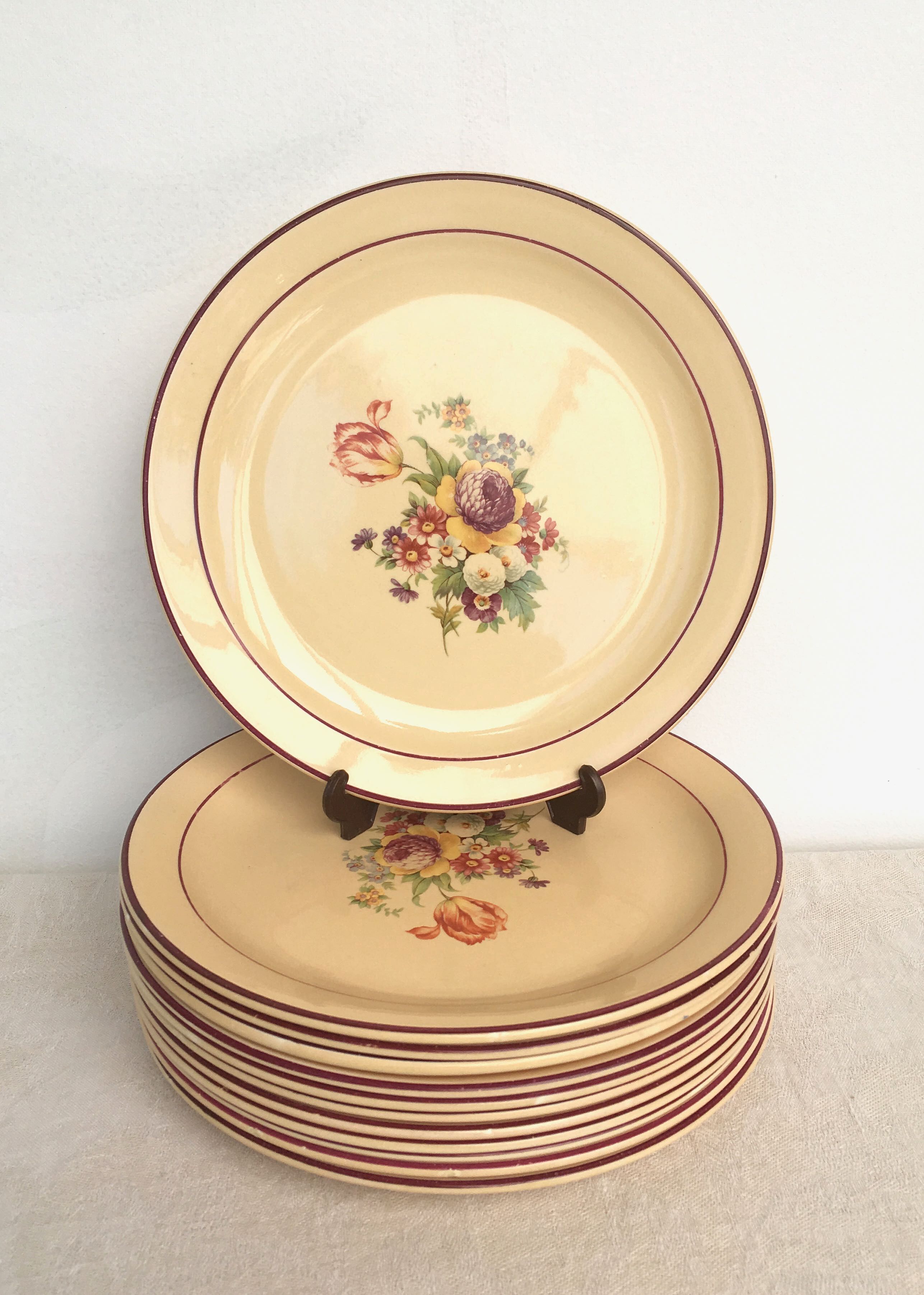 Set of 12 flat plates of Salins earthenware