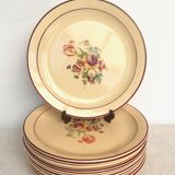 Set of 12 flat plates of Salins earthenware