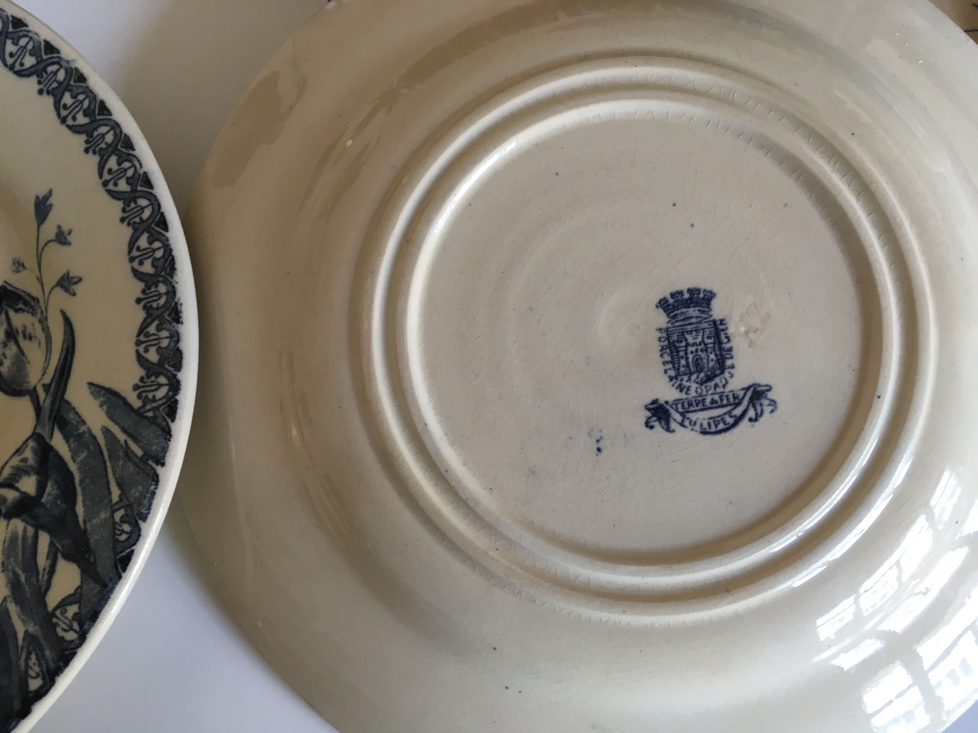 Set of 6 flat Tulips earthenware plates of Gien of the nineteenth century