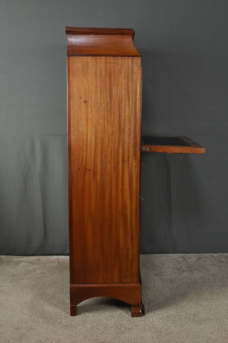 Small Secretary/Chiffonier in Mahogany Burl and Lemonwood – 1900